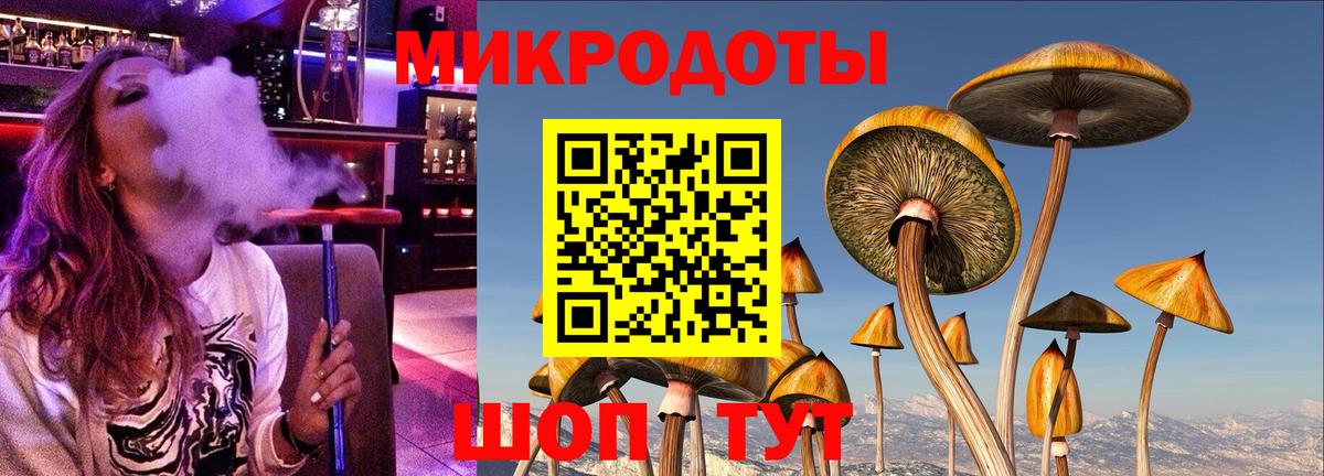 Псилоцибиновые грибы Psilocybine cubensis Карабулак